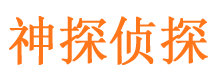 兴山侦探公司